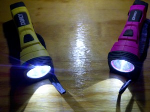 Dorcy LED flashlights